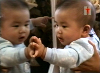 Baby playing with his image in the mirror