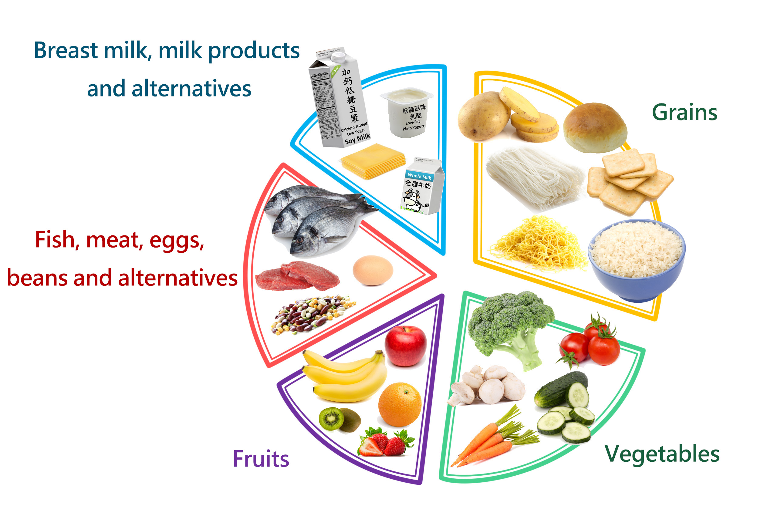 Balanced diet includes grains, vegetables, fruits, fish, meat, eggs, beans and alternatives and breast milk, milk products and alternatives